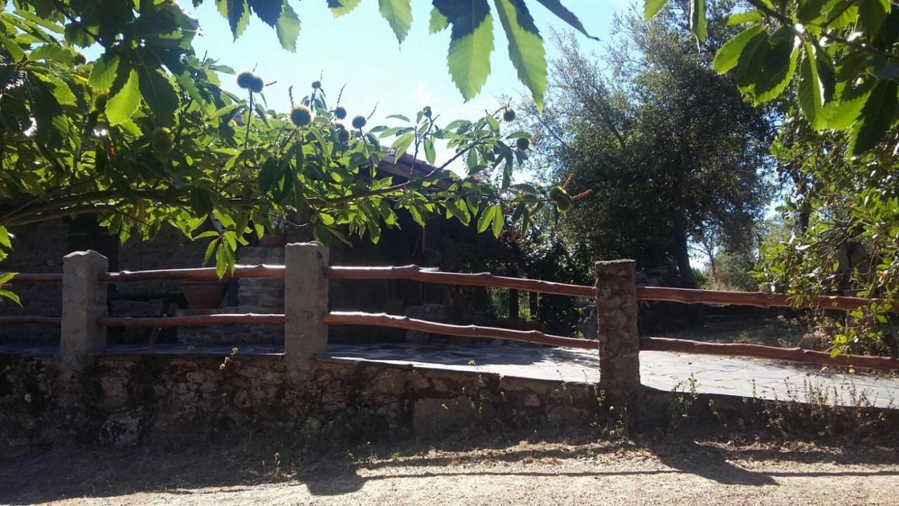La Simona Casa Rural Perales del Puerto Eksteriør bilde