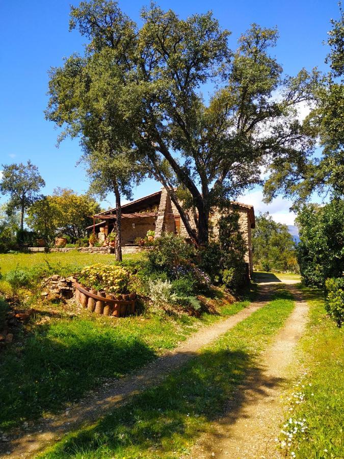 La Simona Casa Rural Perales del Puerto Eksteriør bilde