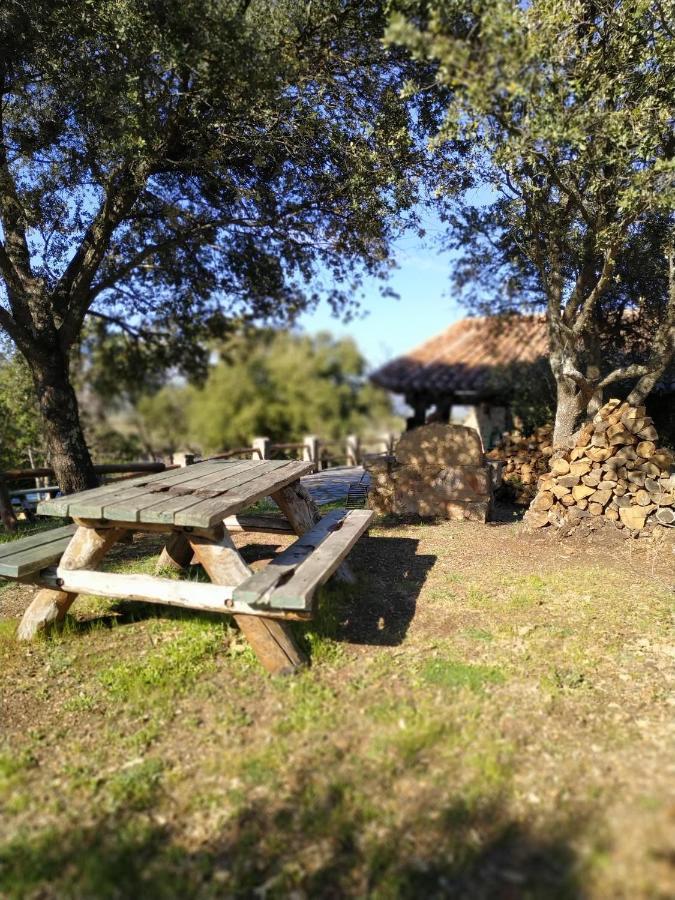 La Simona Casa Rural Perales del Puerto Eksteriør bilde