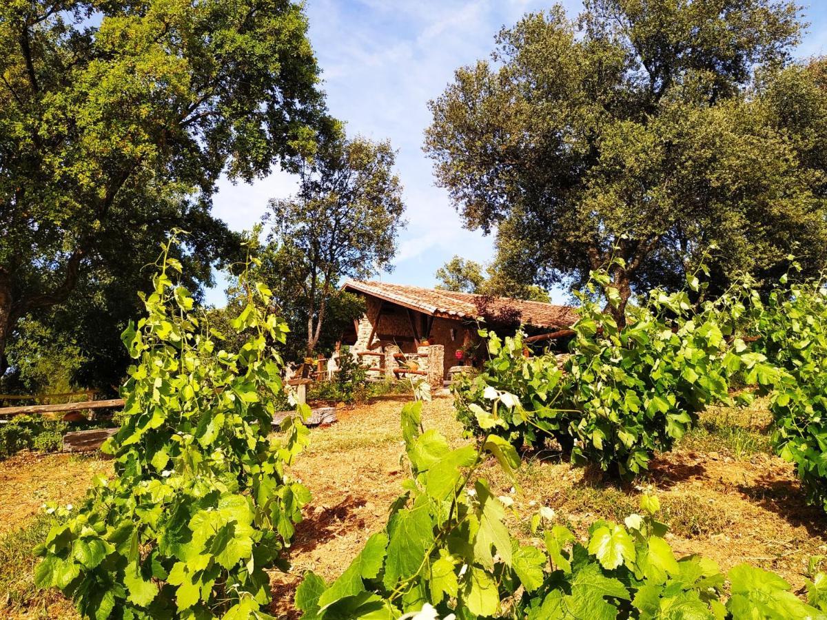 La Simona Casa Rural Perales del Puerto Eksteriør bilde